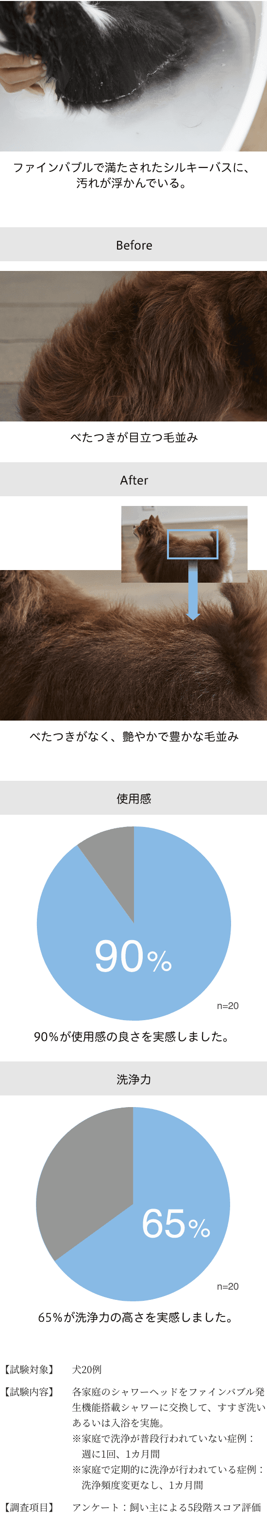 コラム10 experiment01